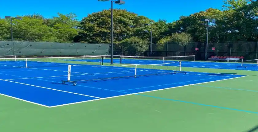 pickleball court maintenance